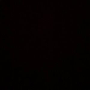 Meet your Posher, Roy